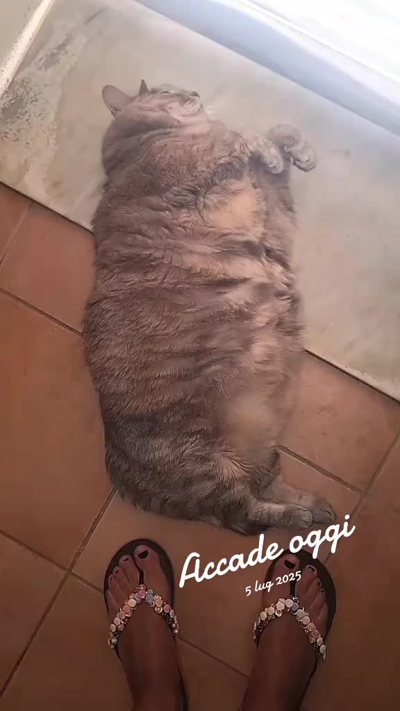 @Marzia Panzani