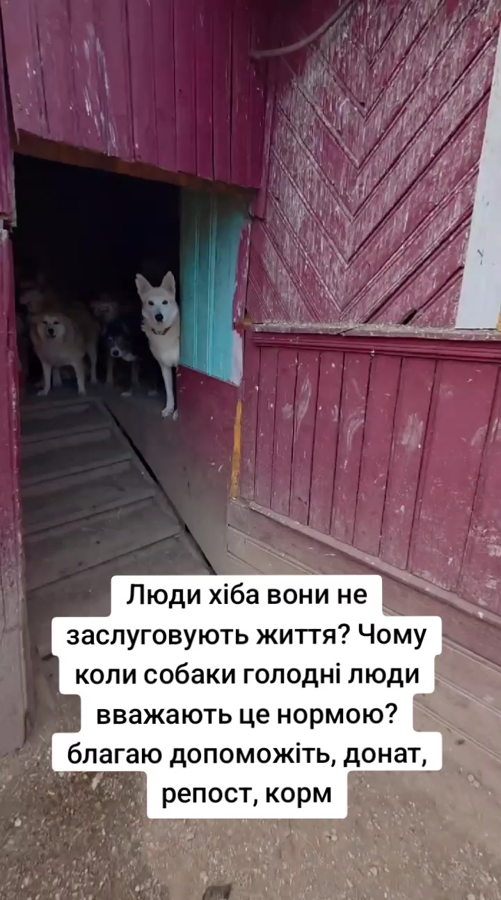 @tvarinkidobra