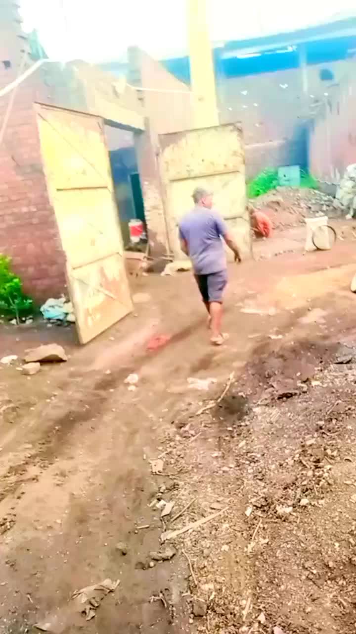 @delairali19