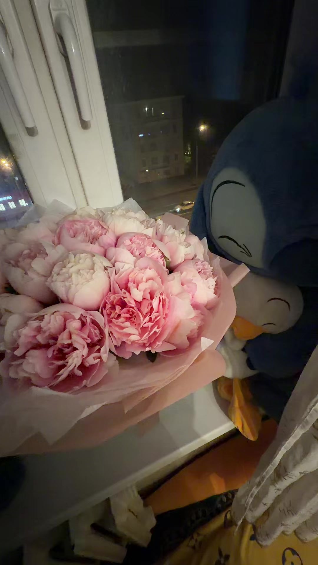 @begimai.toktosuno