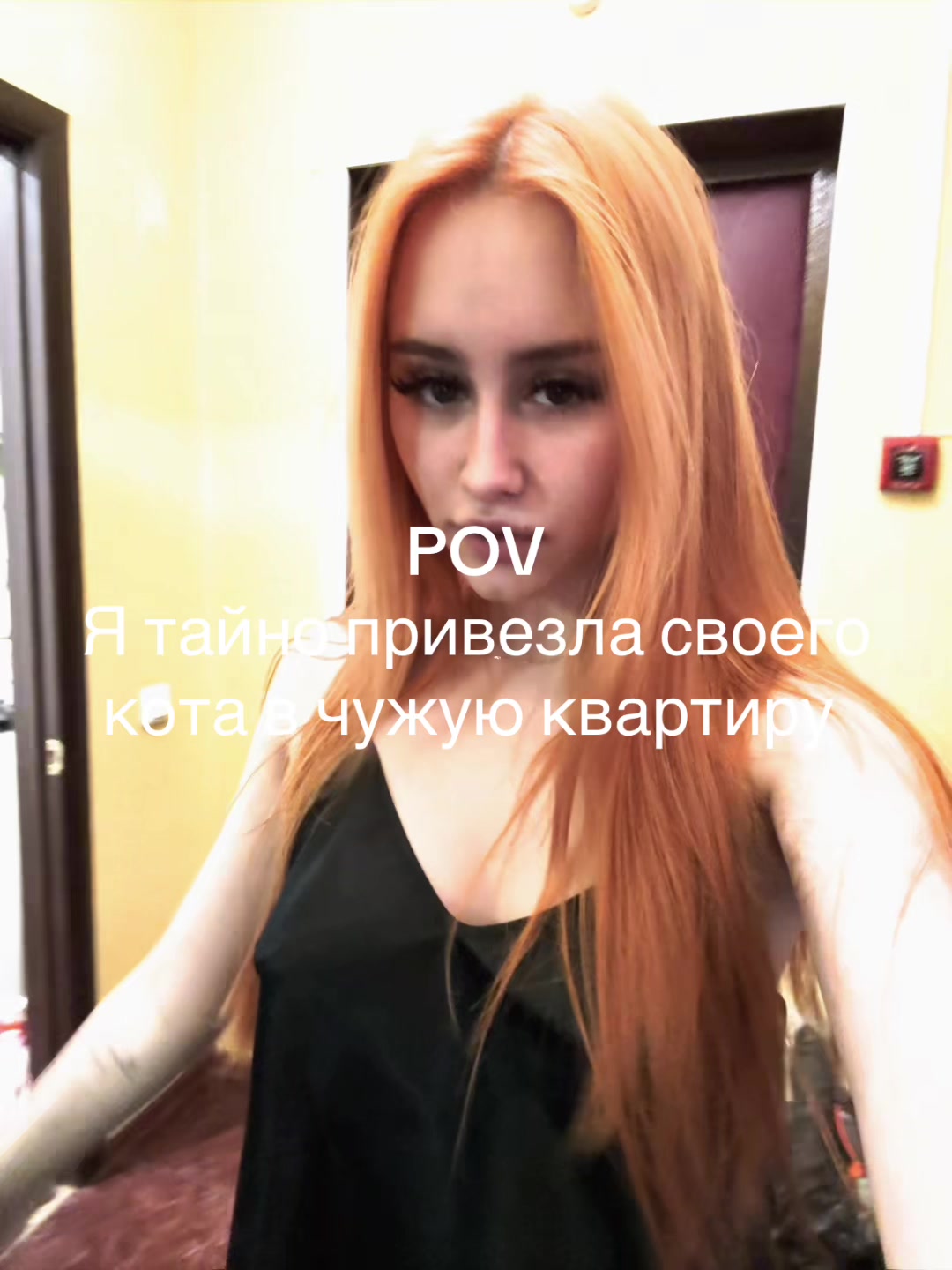 @๐.๐ฃ.๐.๐