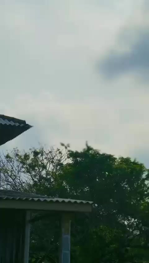 @๐๐โก๐โ