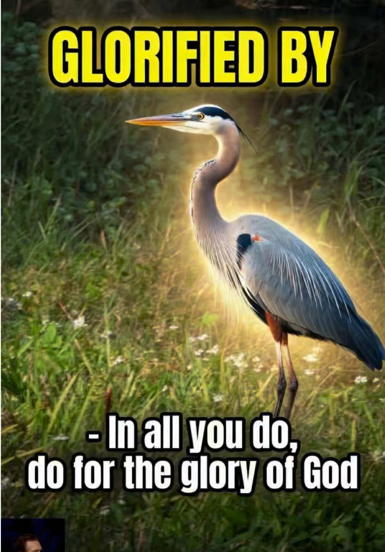 @Reasonsforourfaithministries