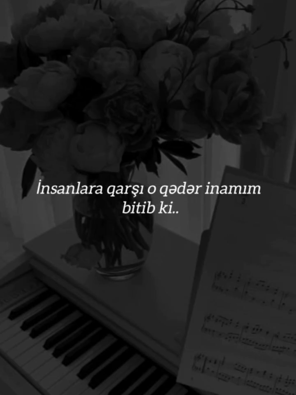 @𓆩𝐌𓆪