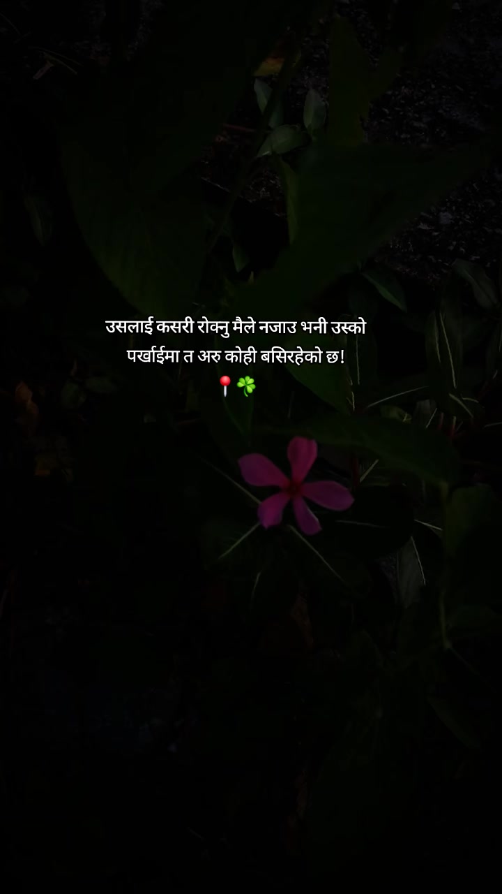 @साझँ!ᥫ᭡