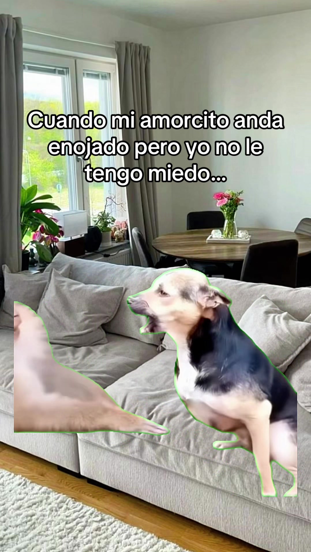 @El Woody 🤠