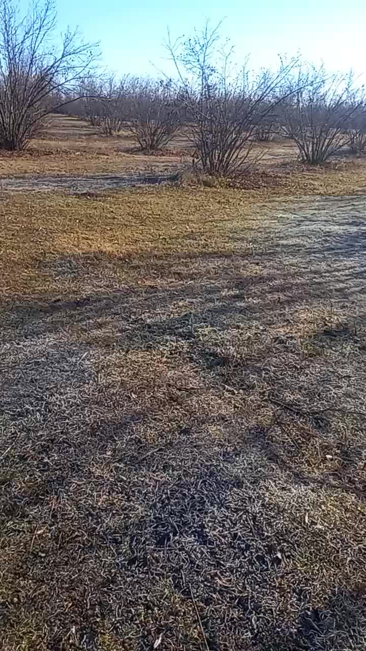 @Torpaq.Əmlak.QƏBƏLƏ