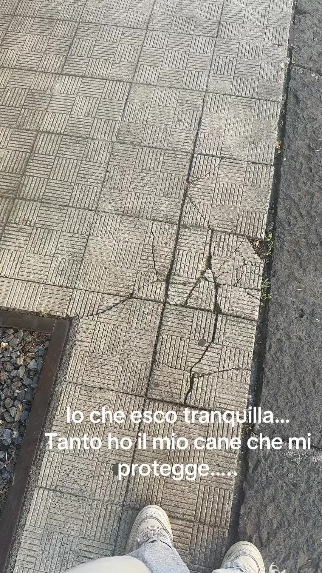 @Denise_Costa88