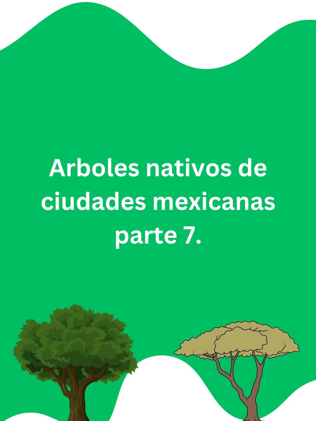 @Ecoversi&oacute;n