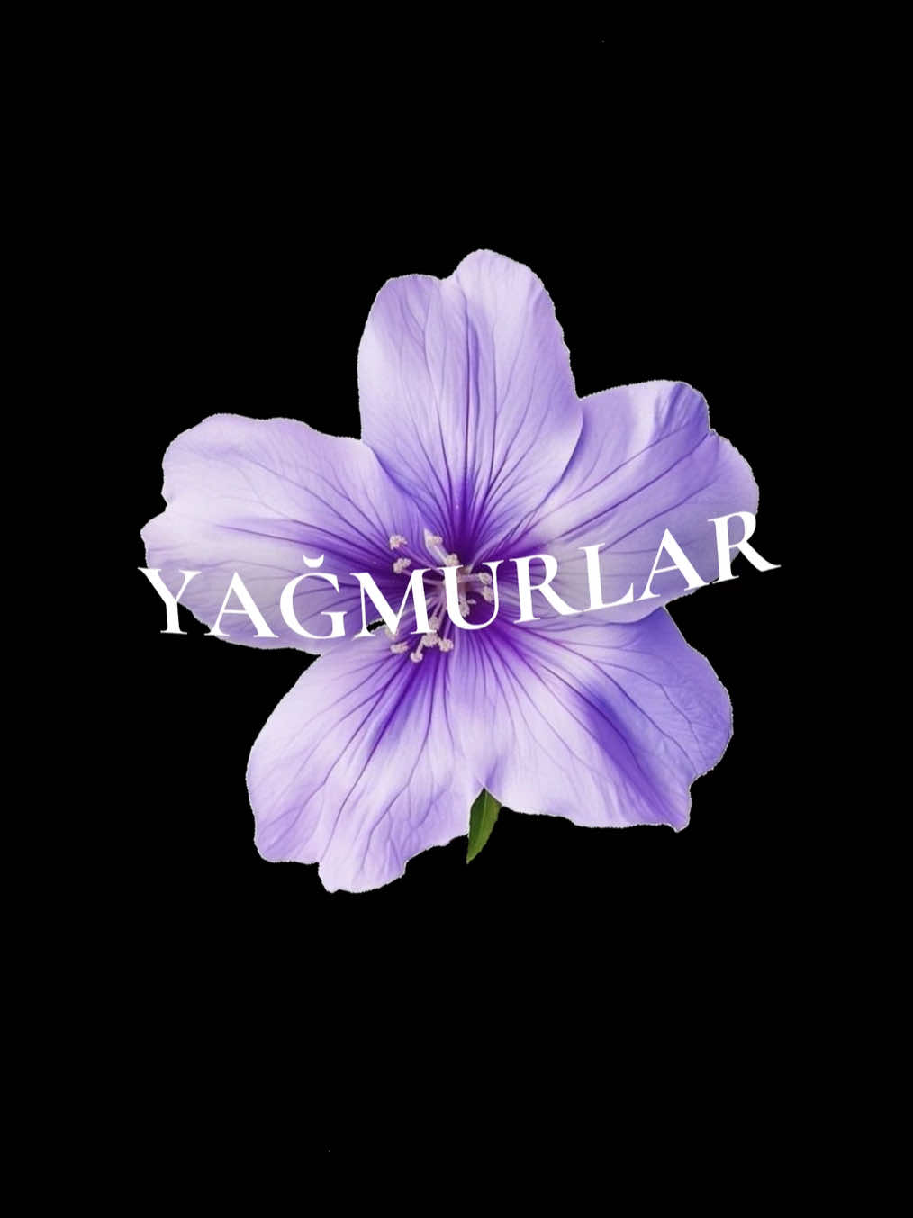 @𝑠𝑎𝑚𝑒𝑑𝑜𝑤
