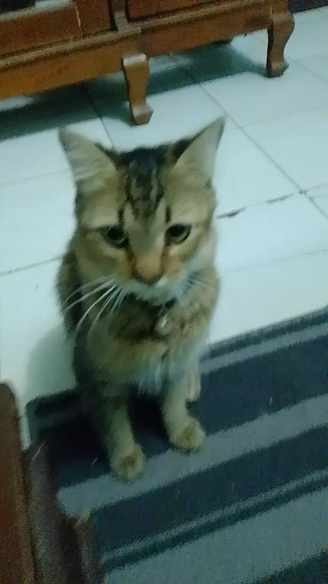 @binong2616
