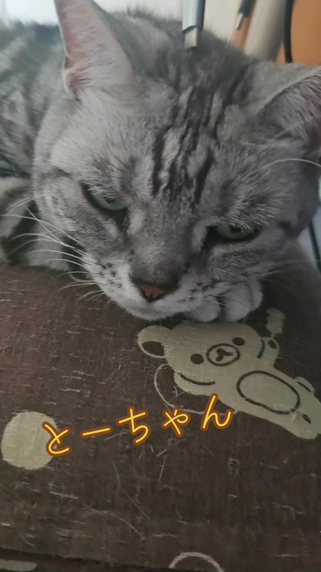 @๐ฎ๐ฎ๐๐³โ๐๐naomama
