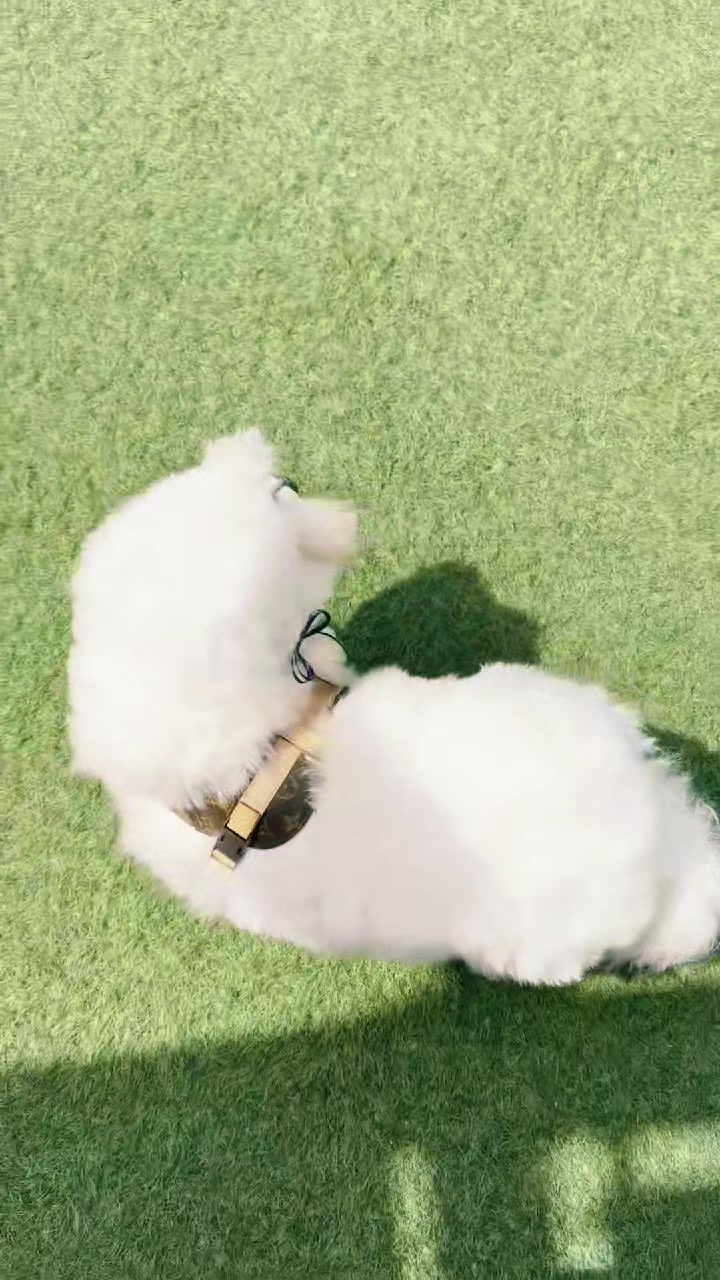 @루미보라