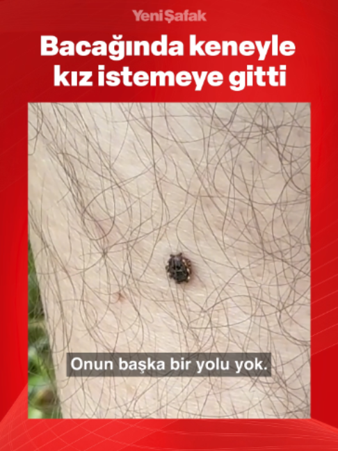 @Yeni Şafak