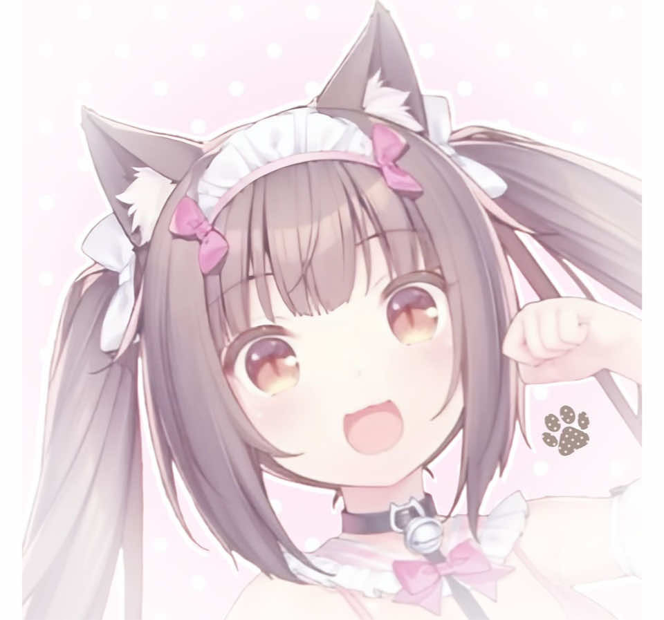 @猫 ෆ