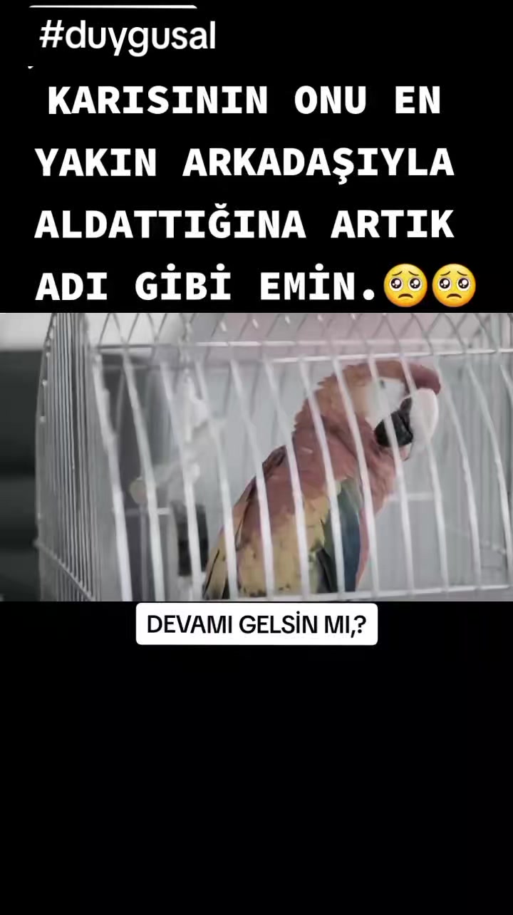 @Nazan &Ccedil; - kısa s&ouml;zler