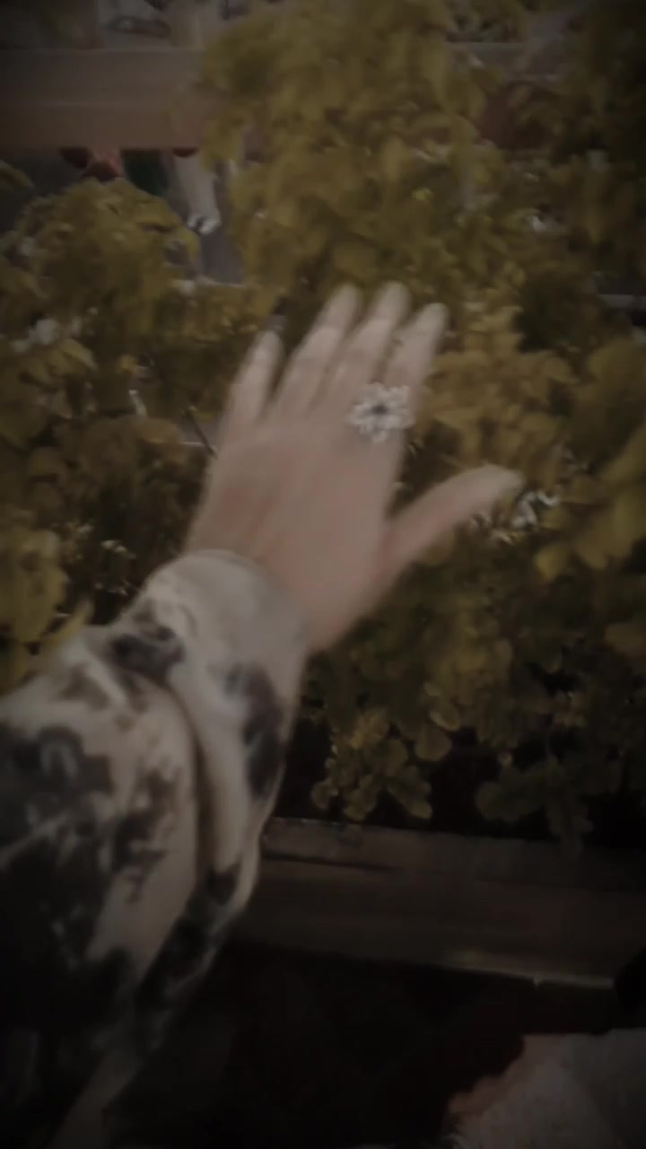 @❤⃝𝔸 𝙋𝙧𝙞𝙣𝙘𝙚𝙨𝙨