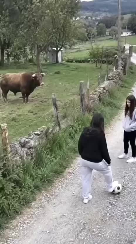 @Funny