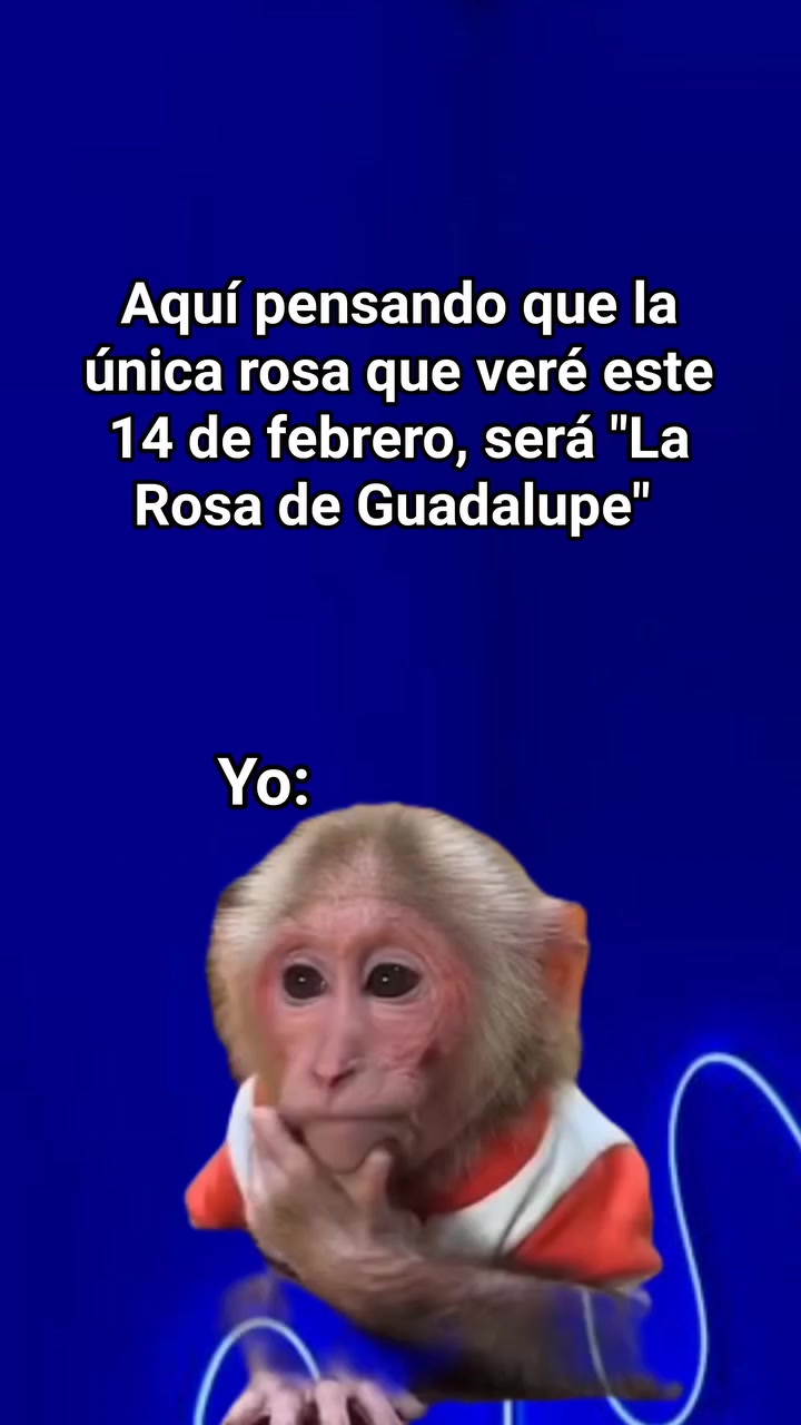 @Jesus de la Riva