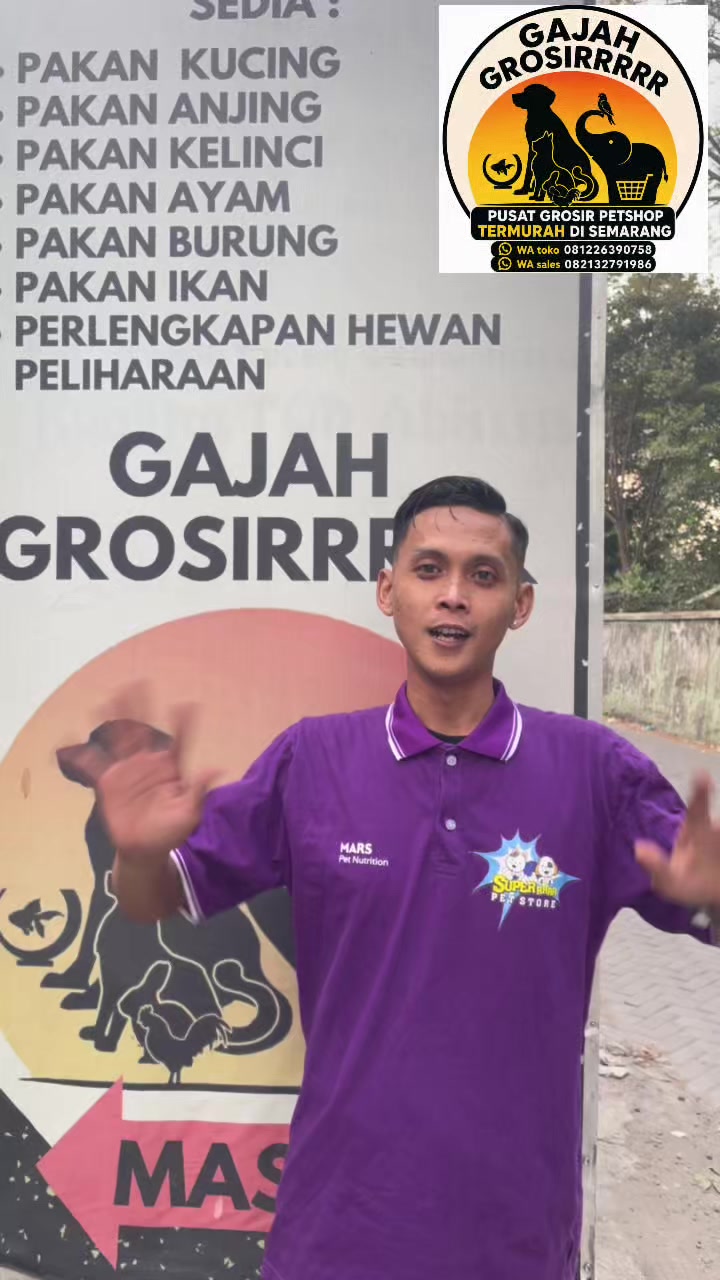 @Gajah Grosirrrrr
