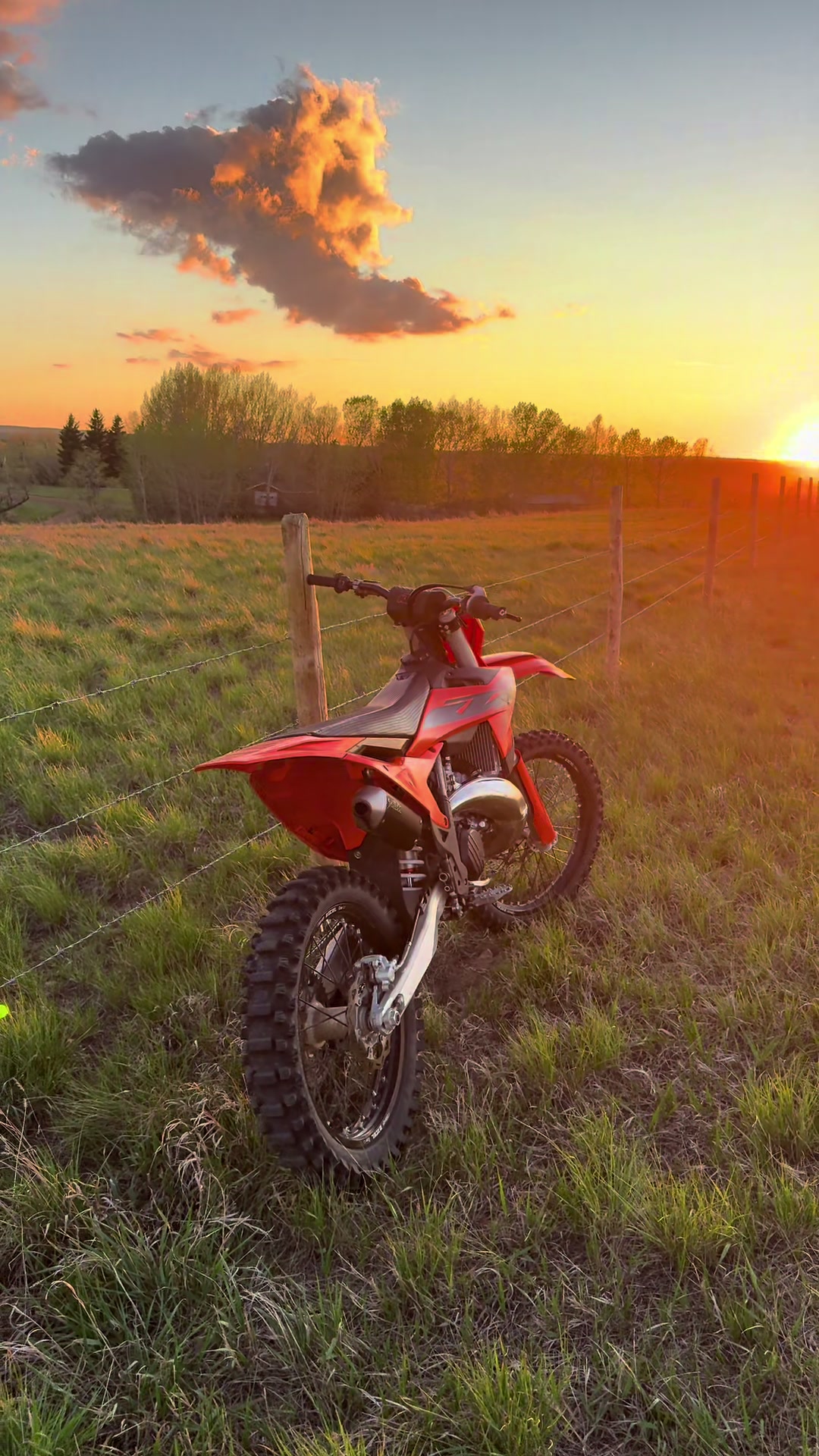 @𝓒𝓪𝓼𝓱 🇨🇦