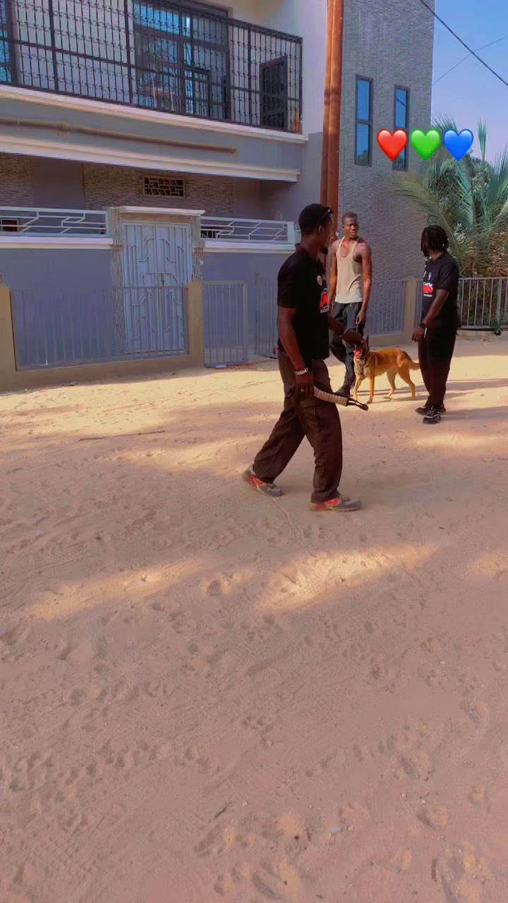@G.I.C.N 🇸🇳🐾Ma&icirc;tre Weuz🐕&zwj;🦺