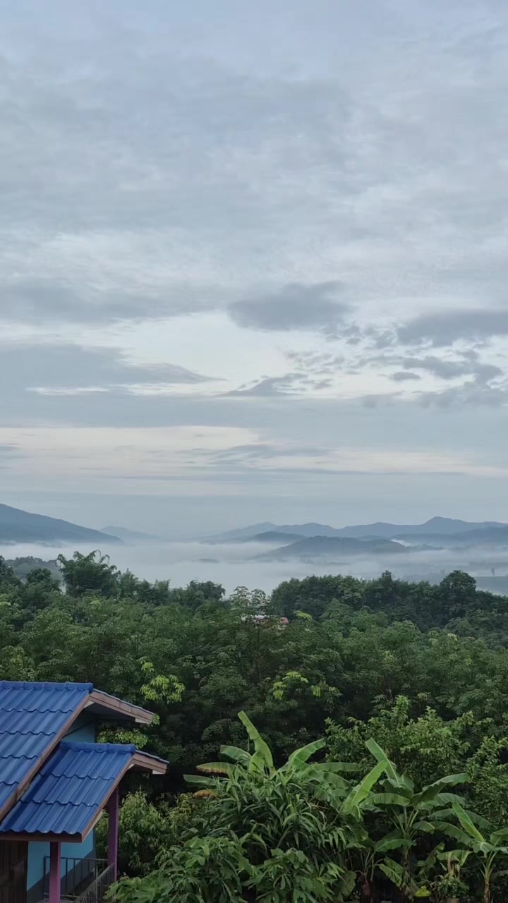 @Phanitphorn