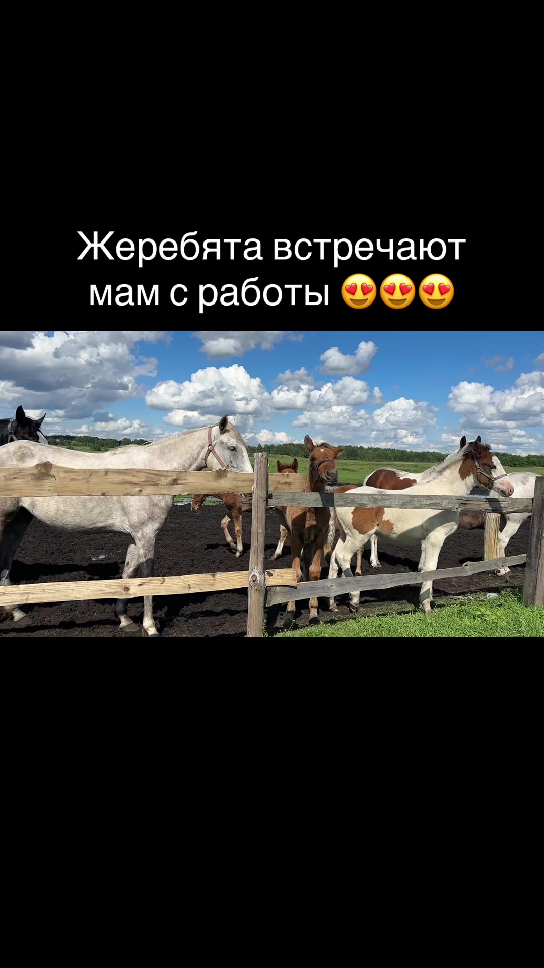 @Анастасия Чернявская.