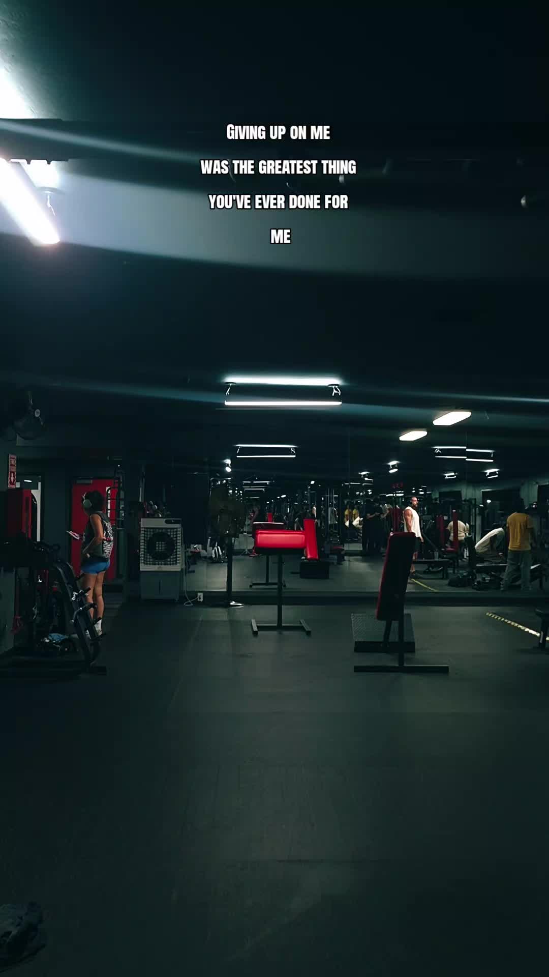 @yogi