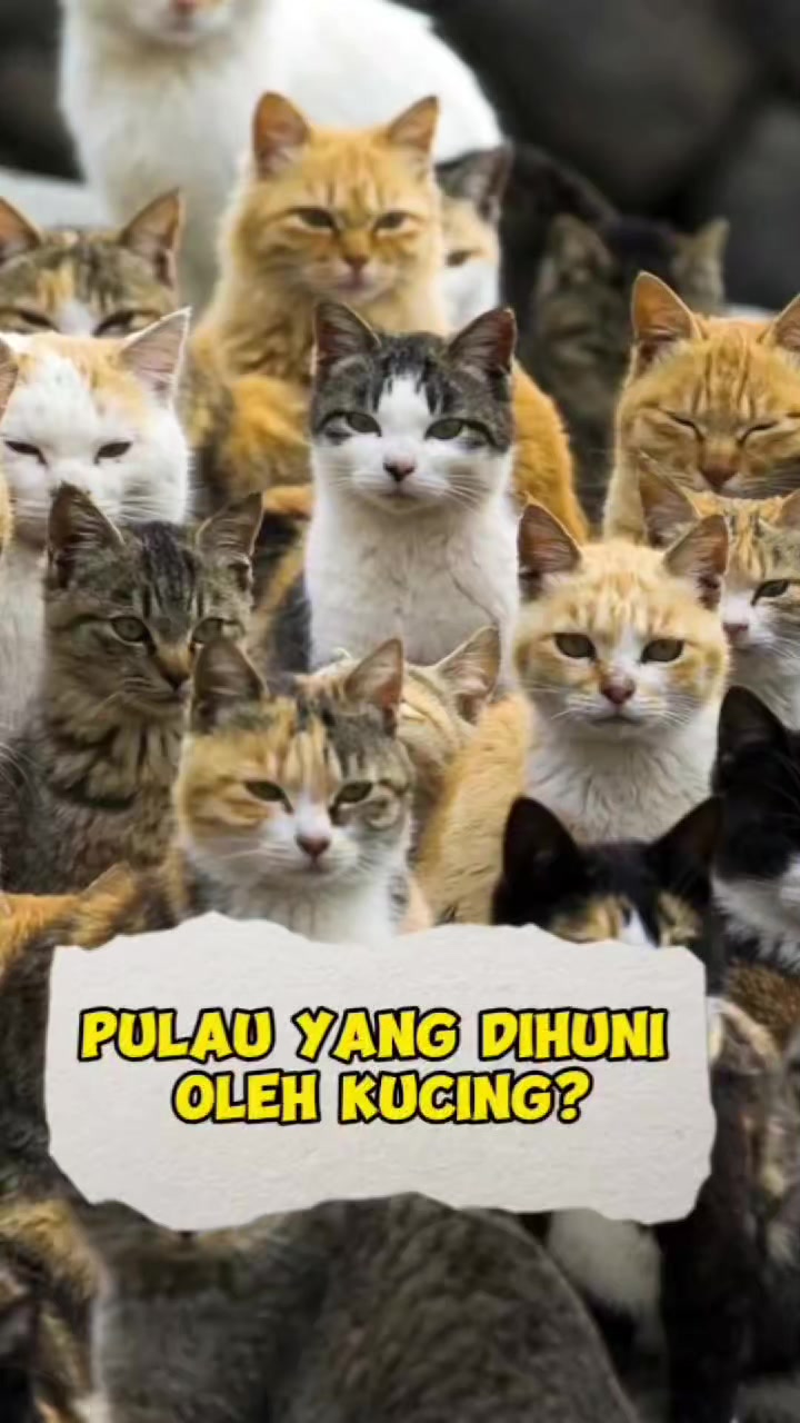 @Murid Geo