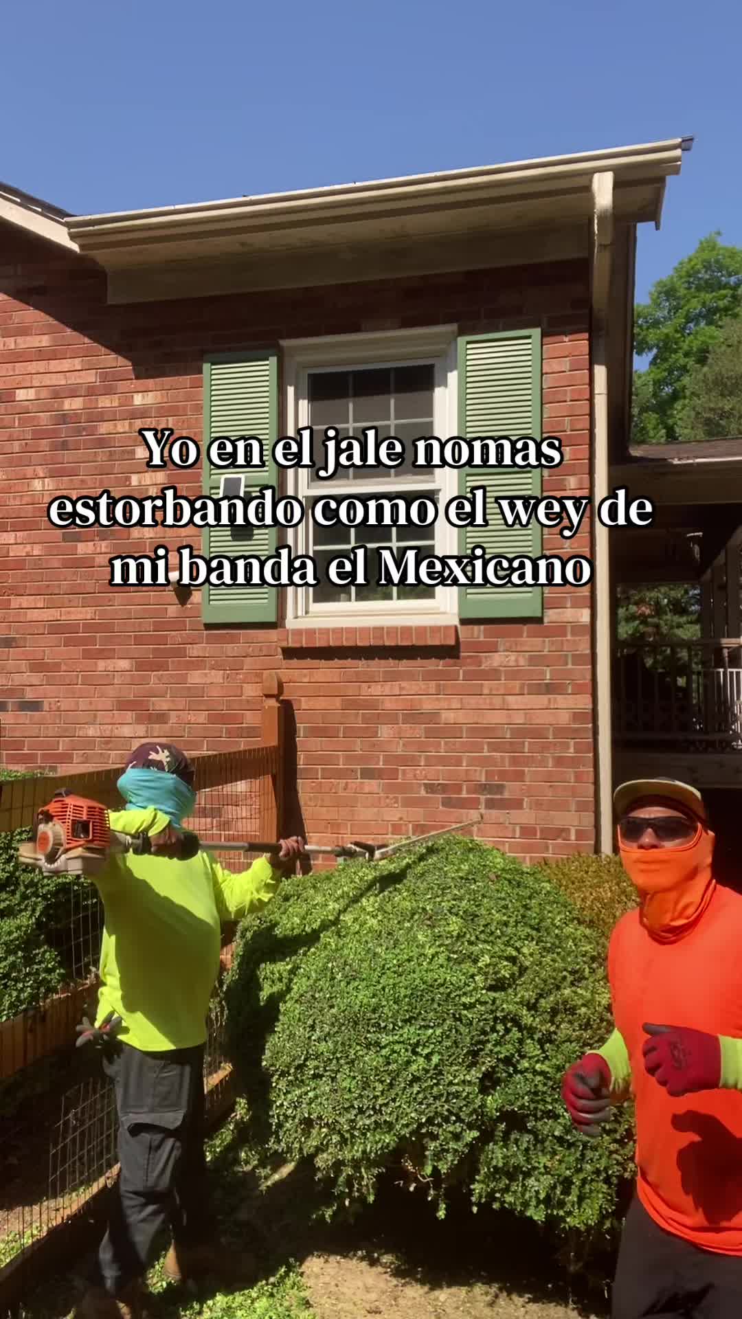 @borregogarcia850