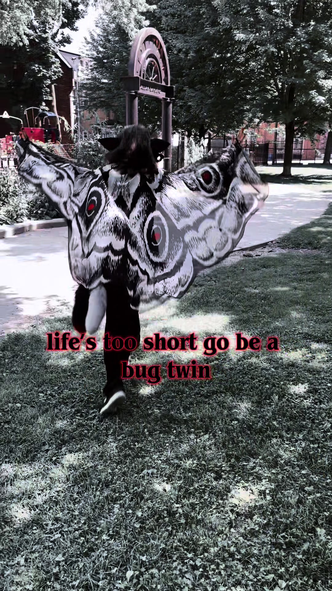 @𖤐 ʙʟᴠᴅʜᴠɴᴅ ៸៸ ⁺‧₊ 🥩🐾 .ᐟ.ᐟ