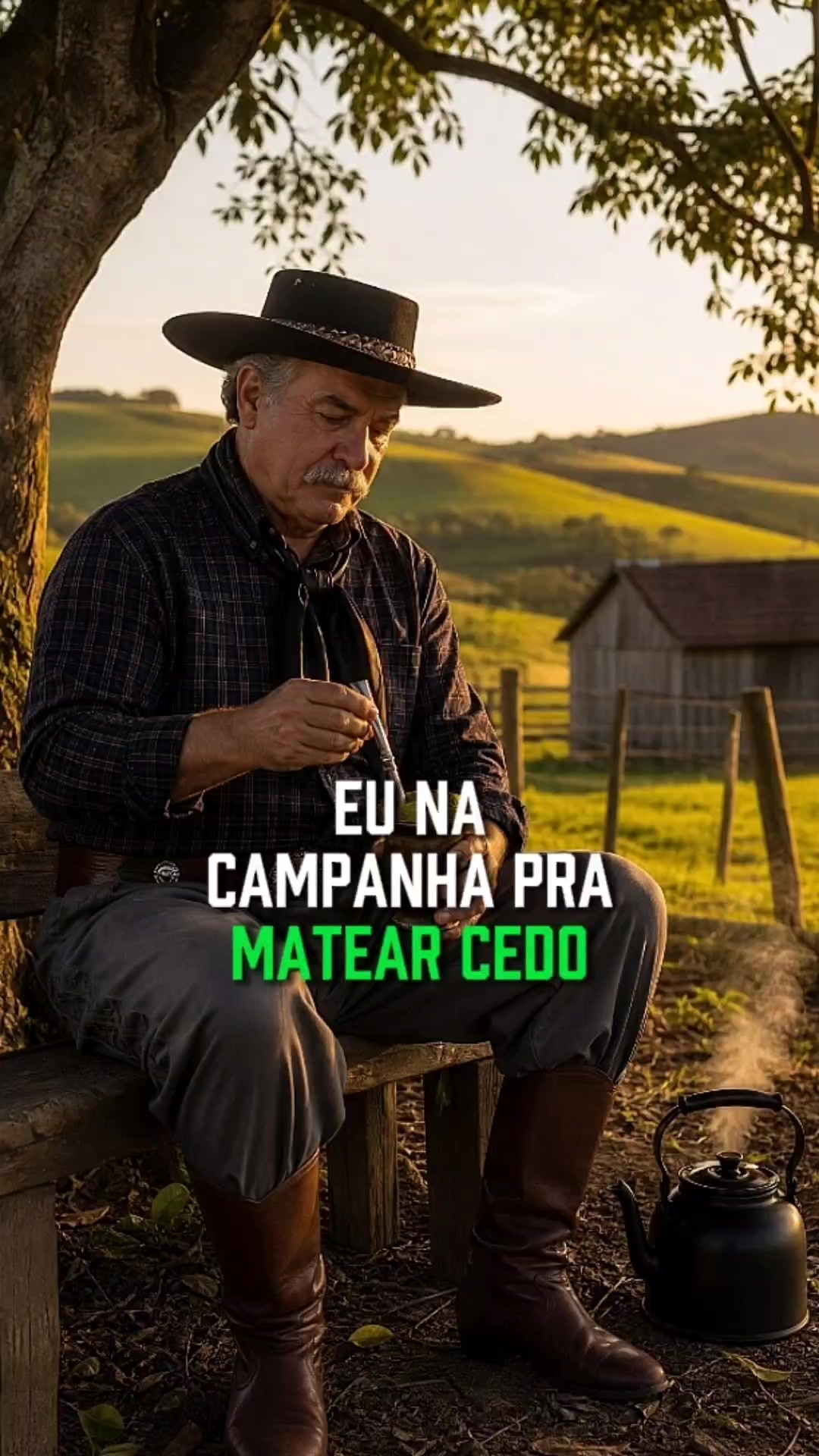 @Melodia Ga&uacute;cha