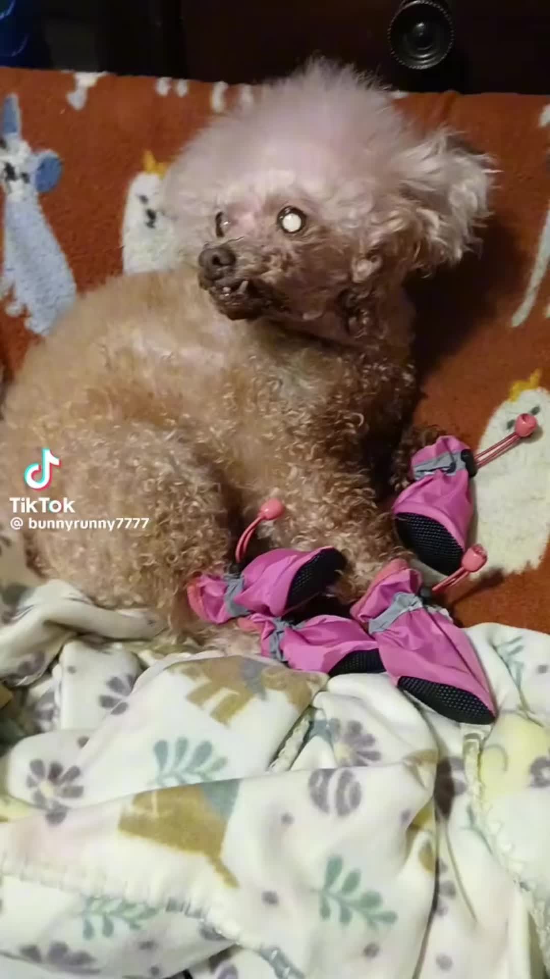 @user7333533117459