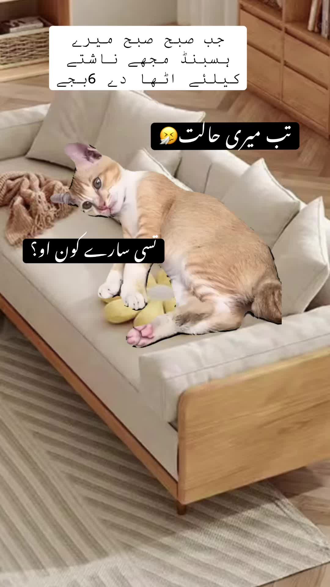 @Sweetie 🇵🇰🇺🇸💫💕💞
