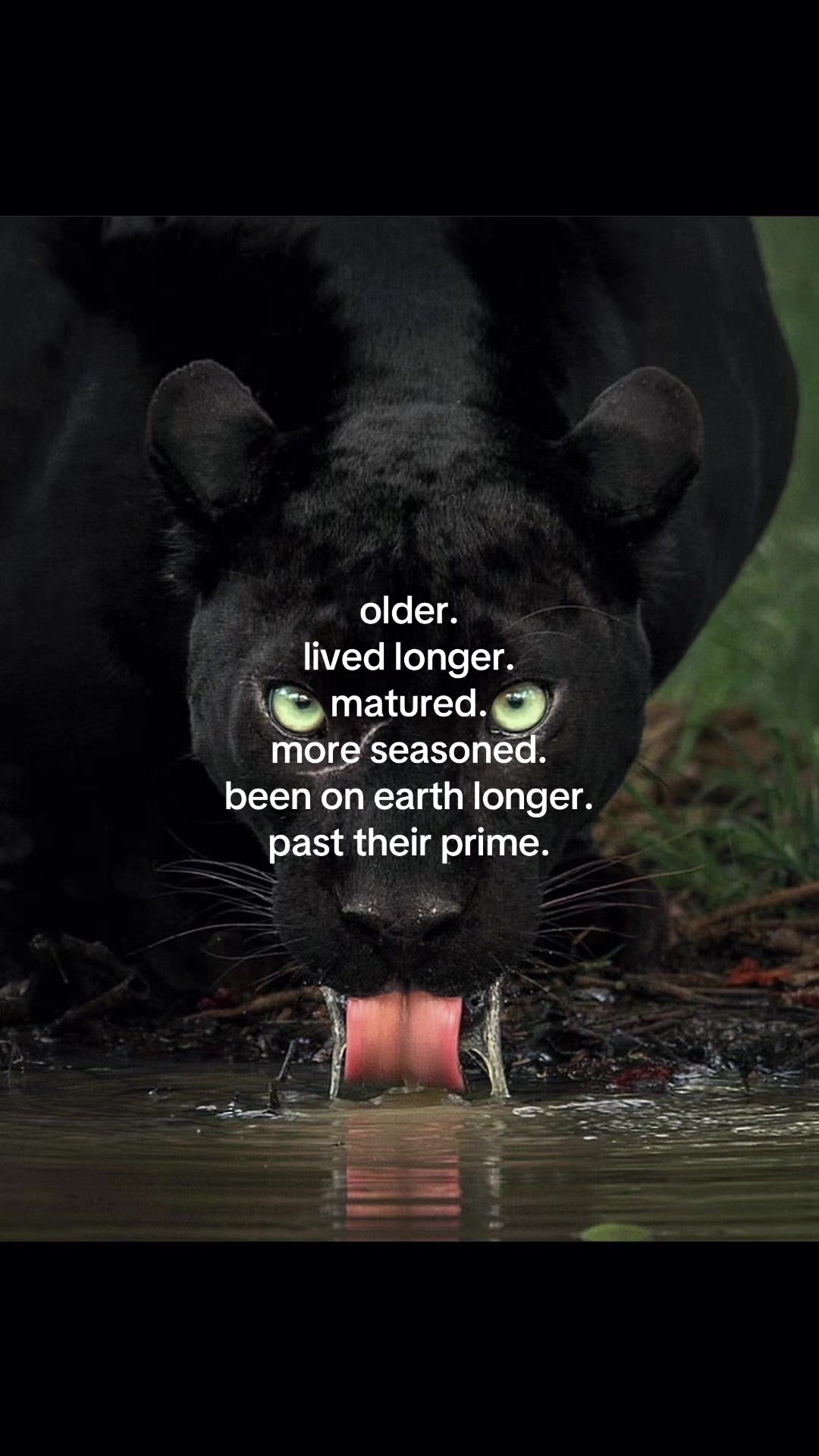 @𝒁𝒆𝒂