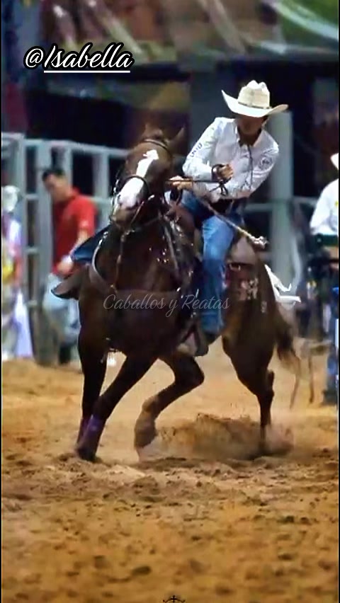 @Caballos y Reatas