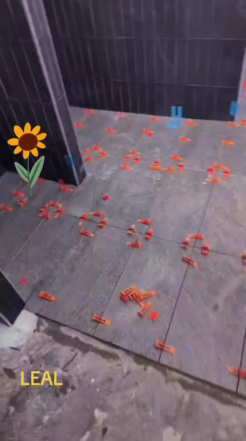 @HTLEAL