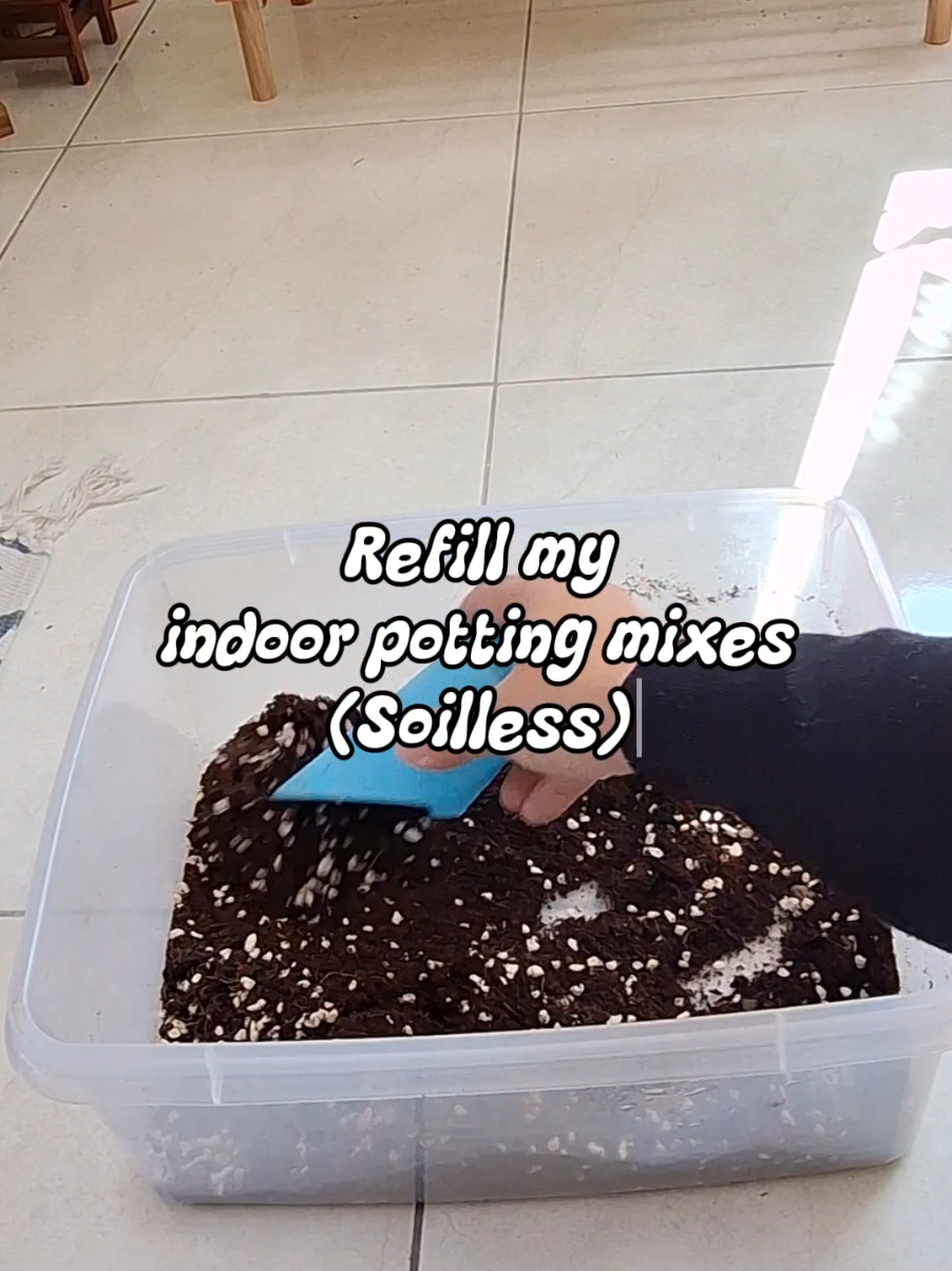 @Sara | Indoor Plants | 🇲🇾