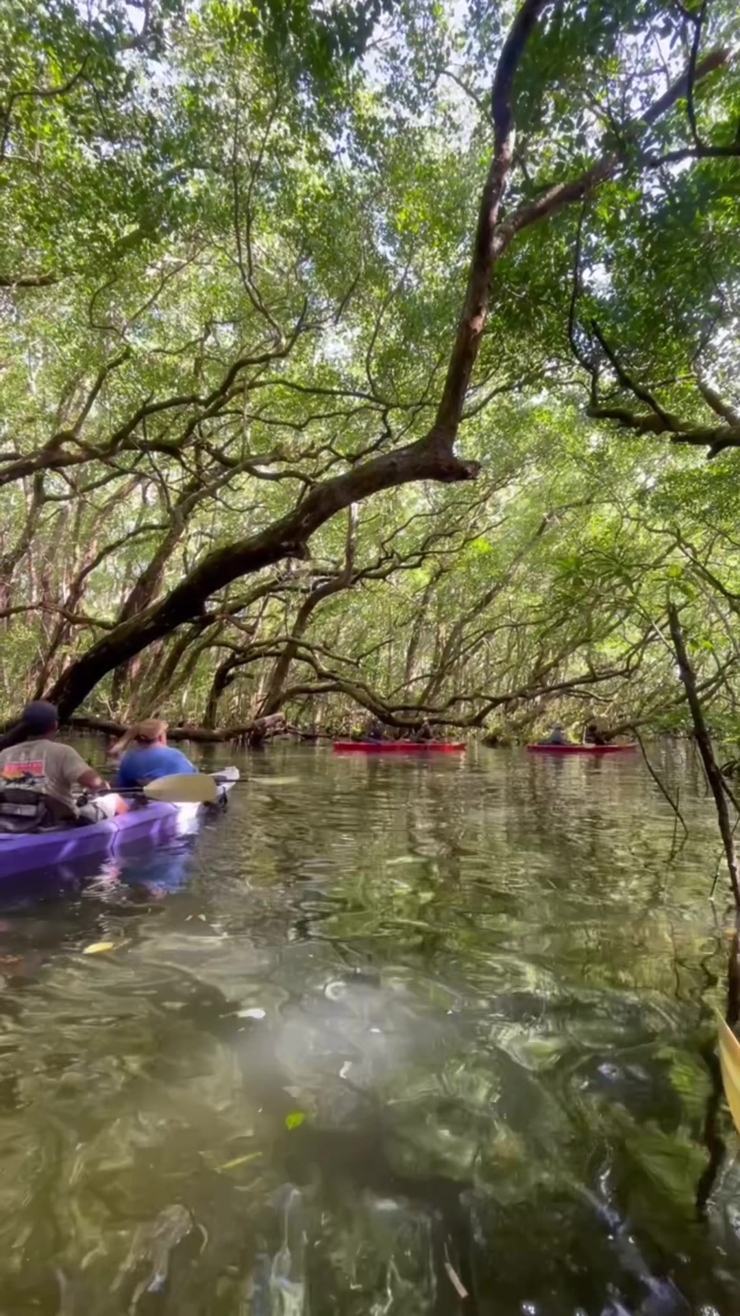 @Paddling Palau