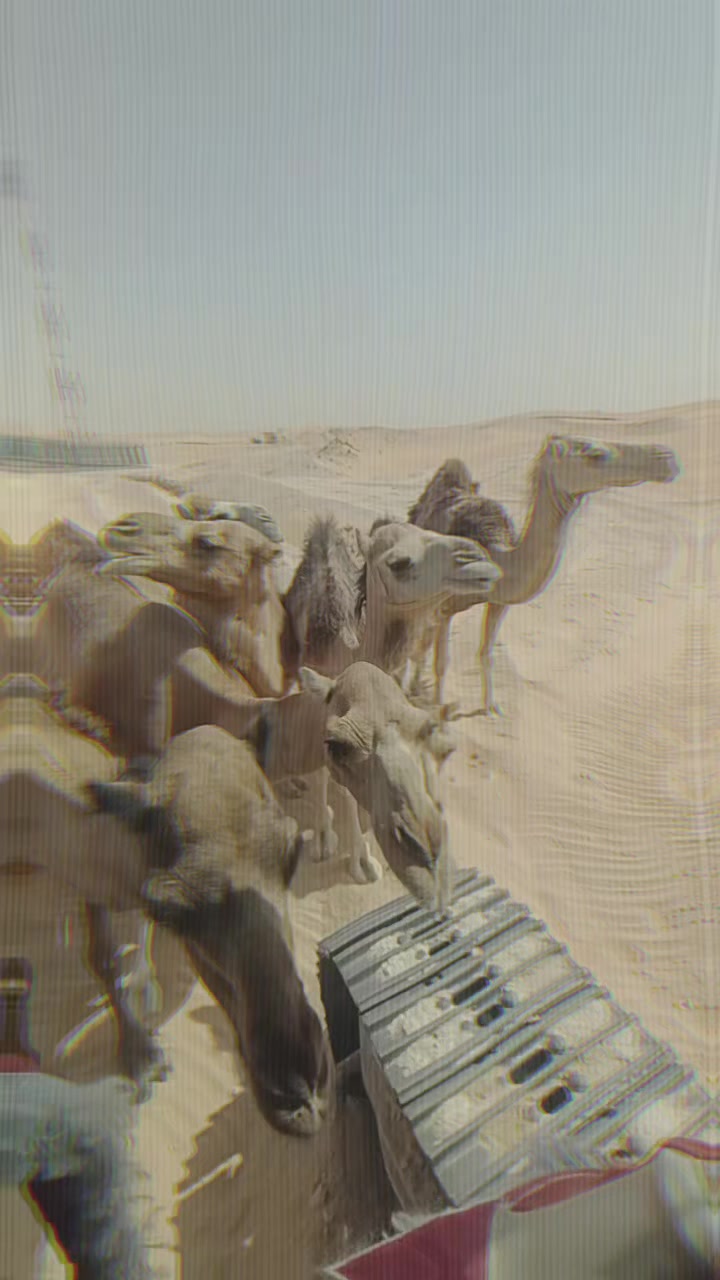 @انس الاسمر