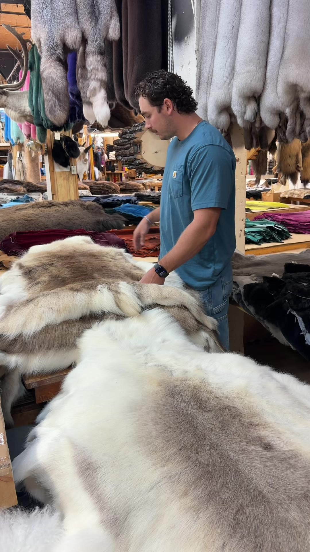 @Bill Worb Furs ๐จ๐ฆ