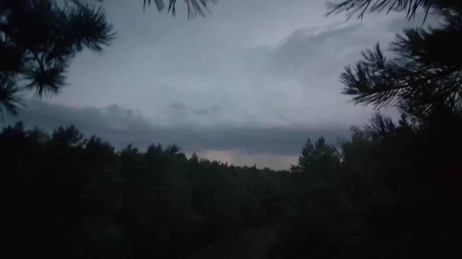 @я тупа свег щя