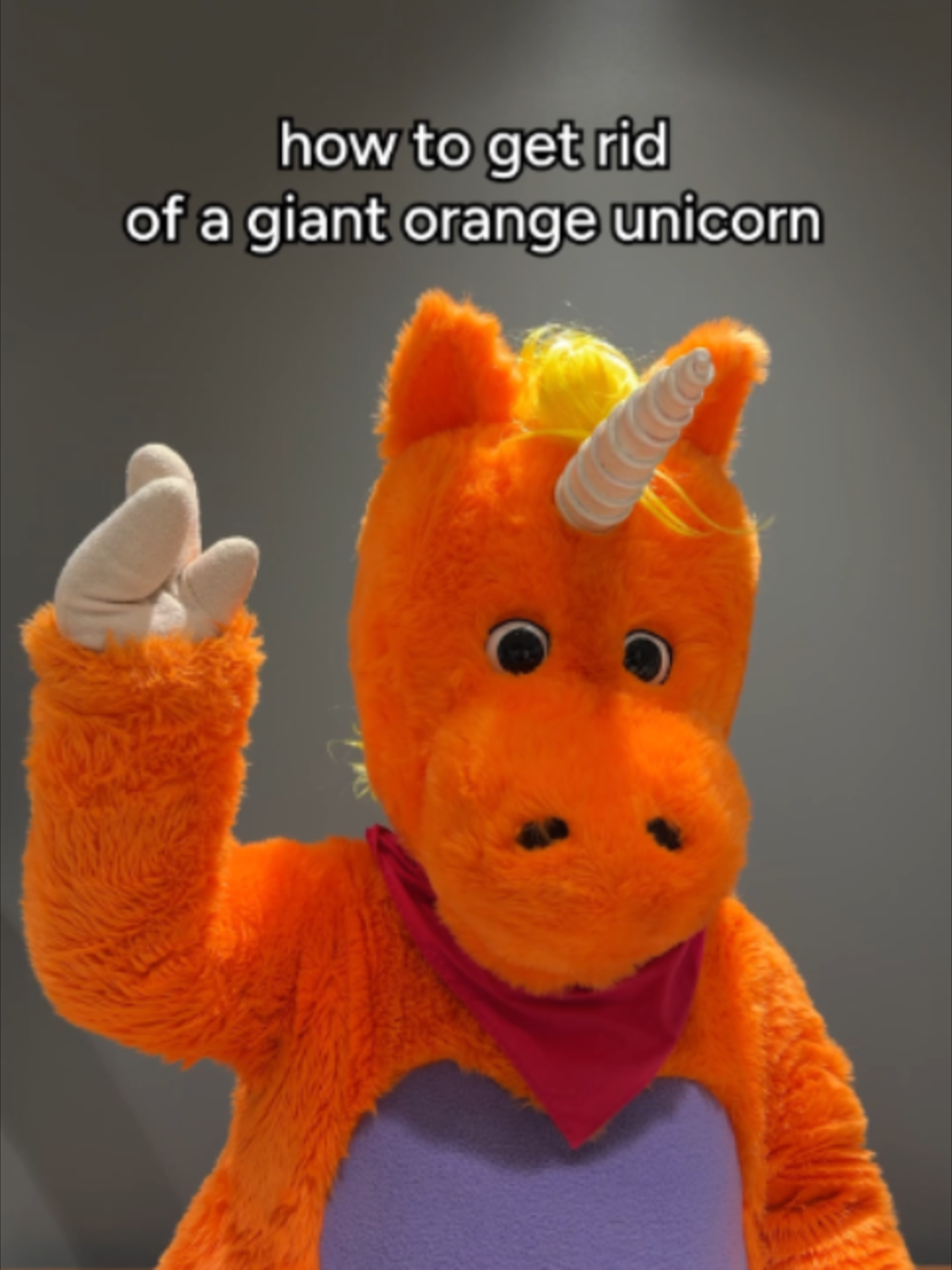 @Buddy The Unicorn