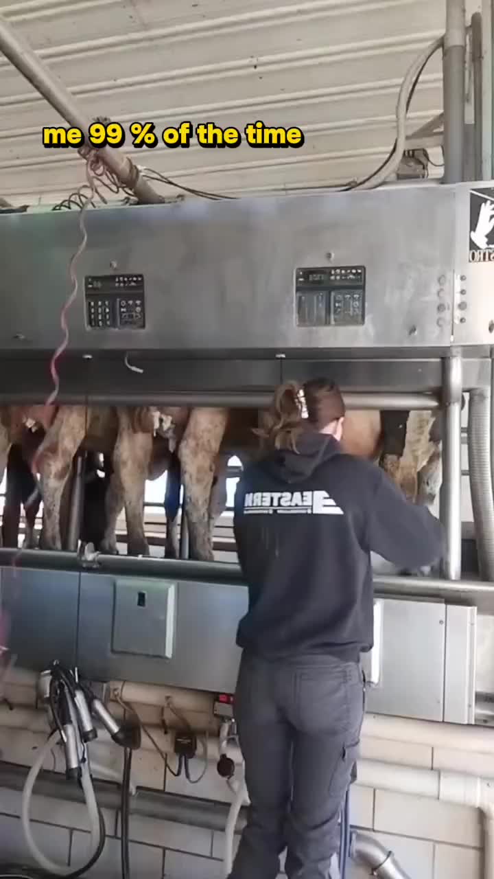 @Dairygirlmel