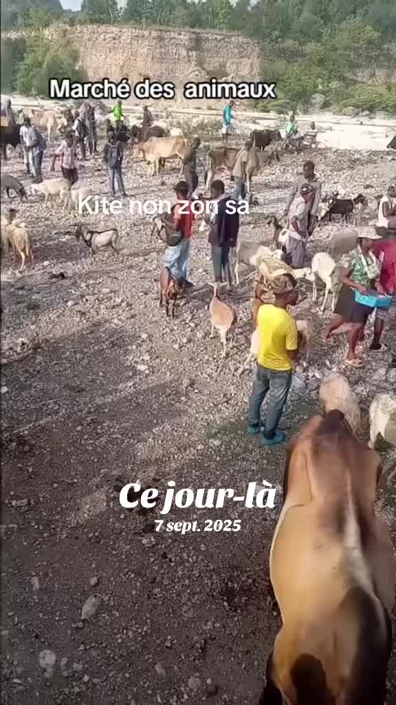@lom.sage.joseph
