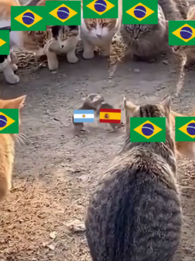 @Sportv