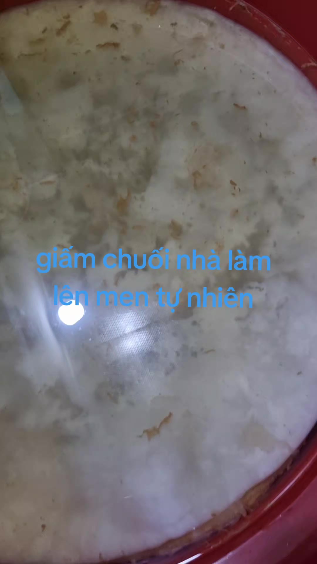 @nguyenha.9899