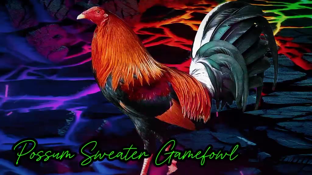 @Carol Nesmith Gamefarm