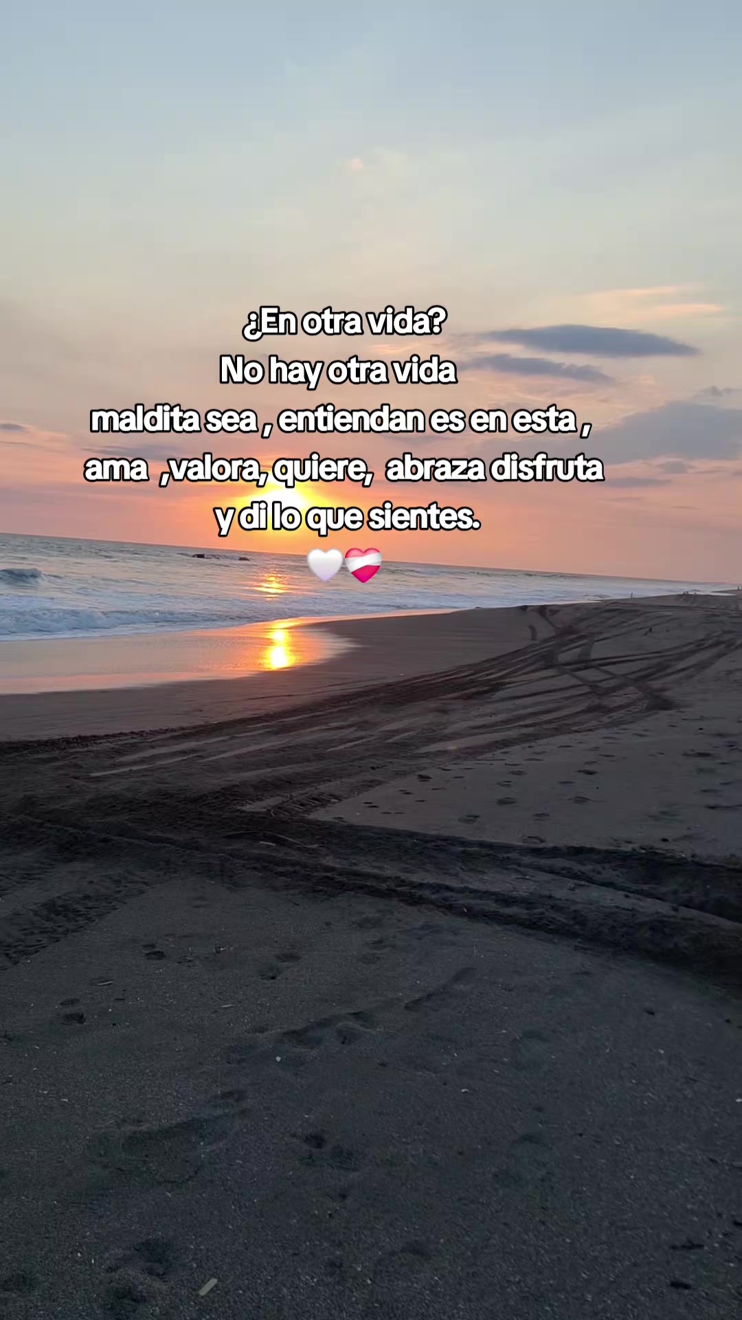 @Massiel .🌵.